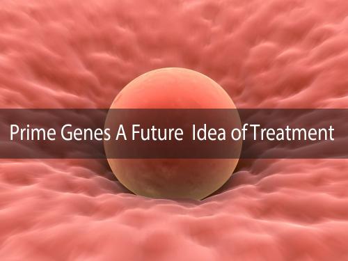 Prime Genes A Future Idea of Treatment